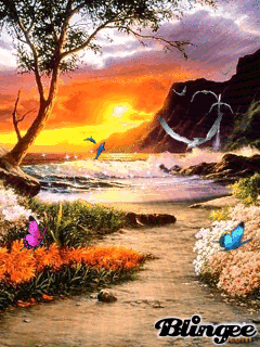 Beauty Of The Beach.gif